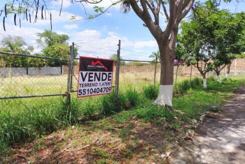 Imagen de WhatsApp 2025-10-15 a las 18.16.27_05bd1ff0