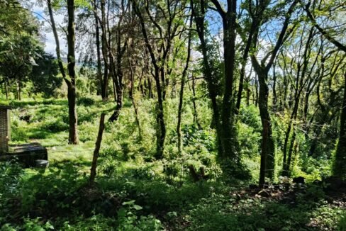 Imagen de WhatsApp 2025-10-21 a las 18.29.01_25c5e9c0