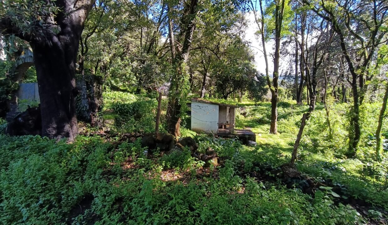 Imagen de WhatsApp 2025-10-21 a las 18.29.01_3cfd9f18