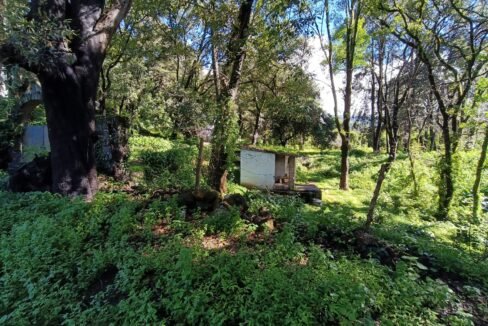 Imagen de WhatsApp 2025-10-21 a las 18.29.01_3cfd9f18