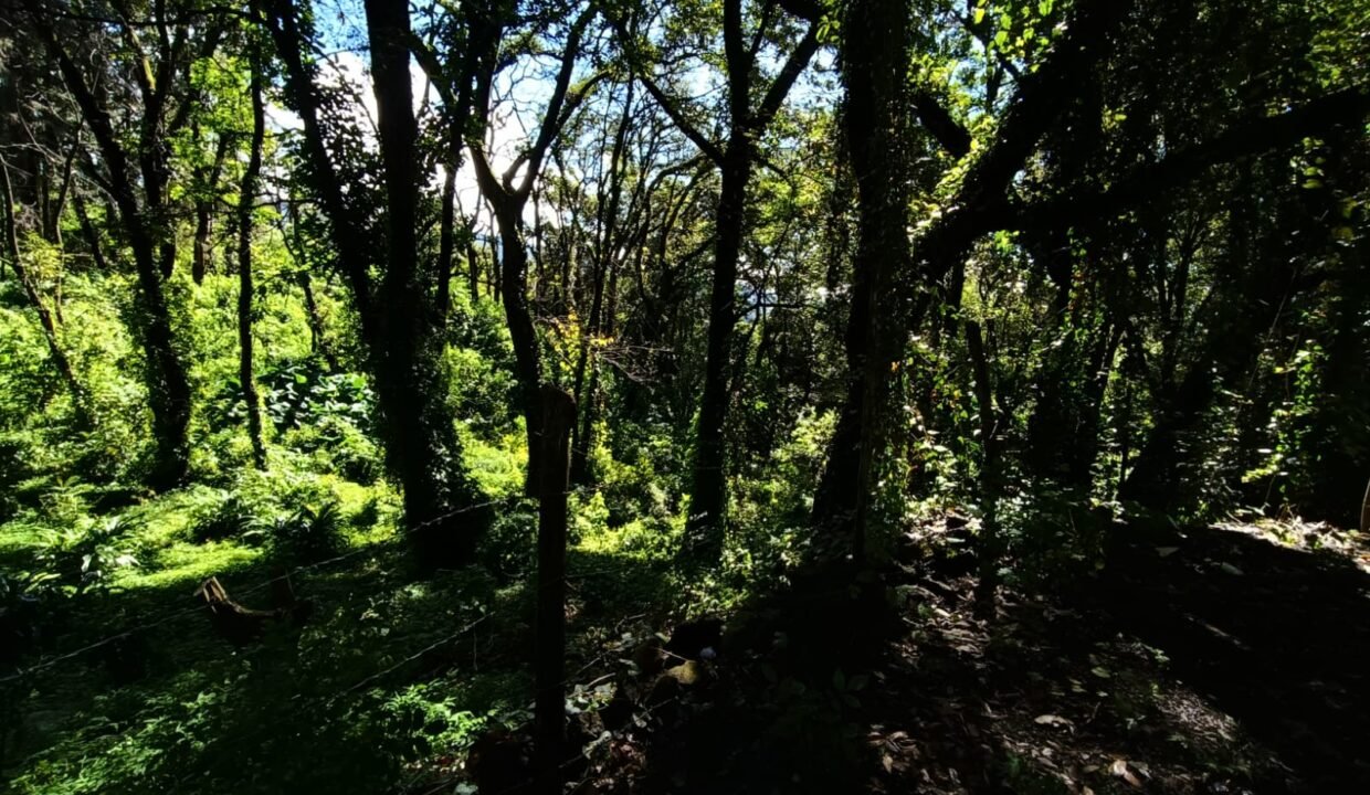 Imagen de WhatsApp 2025-10-21 a las 18.29.01_d3675bfd