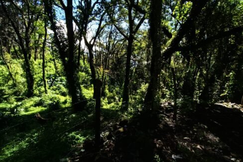 Imagen de WhatsApp 2025-10-21 a las 18.29.01_d3675bfd