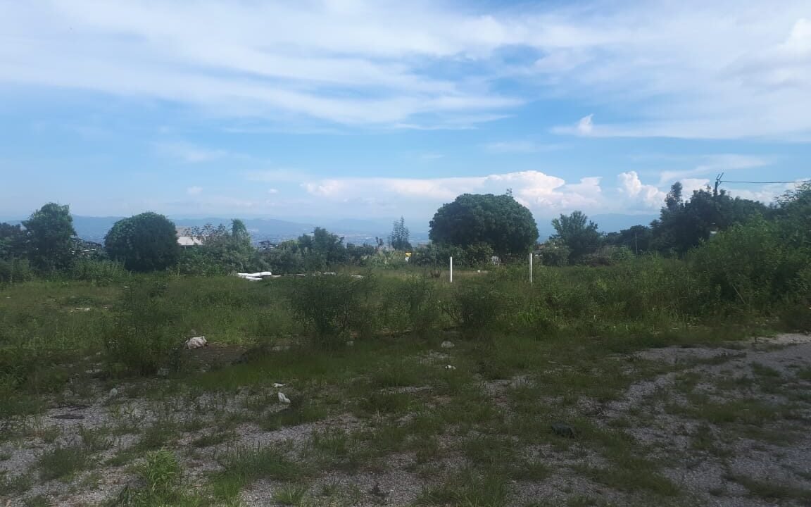 Imagen de WhatsApp 2025-10-28 a las 19.05.20_8198b377