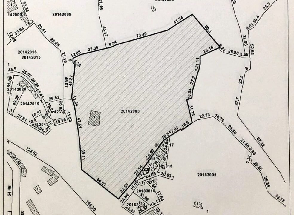 WhatsApp Image 2025-09-26 at 1.19.25 PM